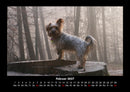 Hundezauber Fotokalender 2027 - 2