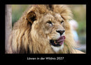 Löwen in der Wildnis Fotokalender 2027 - Hauptbild