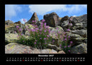 Blumenträume Fotokalender 2027 - 11