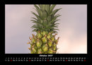 Obstkalender Fotokalender 2027 - 10