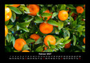 Obstkalender Fotokalender 2027 - 2