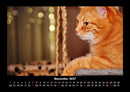Für Katzenfreunde Fotokalender 2027 - 11