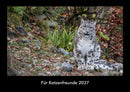 Für Katzenfreunde Fotokalender 2027 - Hauptbild