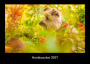 Hundezauber Fotokalender 2027 - Hauptbild