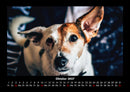 Der Hundekalender Fotokalender 2027 - 10