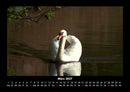 Welt der Vögel Fotokalender 2027 - 3