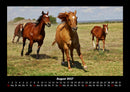 Die Welt der Pferde Fotokalender 2027 - 8