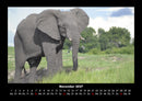 Der Elefantenkalender Fotokalender 2027 - 11