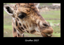 Giraffen Fotokalender 2027 - Hauptbild