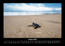 Schildkrötenzauber Fotokalender 2027 - 1
