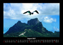 Möwen Fotokalender 2027 - 8