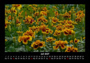 Pflanzen und Blüten Fotokalender 2027 - 7