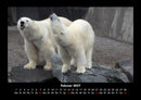 Tierkalender Fotokalender 2027 - 2