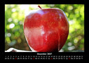 Obstkalender Fotokalender 2027 - 12