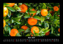 Obstkalender Fotokalender 2027 - 3