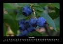 Obstkalender Fotokalender 2027 - 7