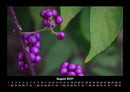 Obstkalender Fotokalender 2027 - 8