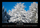 Bäume Fotokalender 2027 - 12