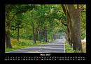 Bäume Fotokalender 2027 - 3