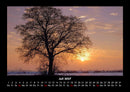 Bäume Fotokalender 2027 - 7