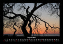Bäume Fotokalender 2027 - 8