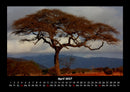 Natur Fotokalender 2027 - 4