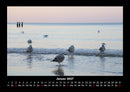 Meereslandschaft Fotokalender 2027 - 1