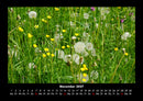 Blumenkalender Fotokalender 2027 - 11