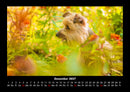 Blumenkalender Fotokalender 2027 - 12
