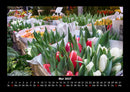 Blumenkalender Fotokalender 2027 - 5
