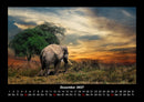 Der Elefantenkalender Fotokalender 2027 - 12
