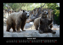 Der Tierkalender Fotokalender 2027 - 2