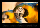 Der Tierkalender Fotokalender 2027 - 4