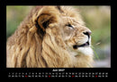 Der Tierkalender Fotokalender 2027 - 6