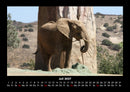 Der Tierkalender Fotokalender 2027 - 7