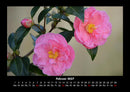 Rosen-Kalender Fotokalender 2027 - 2