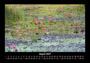 Rosen-Kalender Fotokalender 2027 - 8