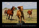 Die Welt der Pferde Fotokalender 2027 - 10