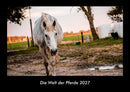Die Welt der Pferde Fotokalender 2027 - Hauptbild