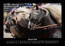 Die Welt der Pferde Fotokalender 2027 - 2
