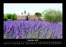 Blumenträume Fotokalender 2027 - 12