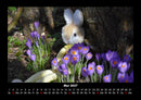 Blumenträume Fotokalender 2027 - 5