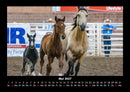 Pferde Kalender Fotokalender 2027 - 5