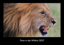 Tiere in der Wildnis Fotokalender 2027 - Hauptbild