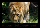 Tiere in der Wildnis Fotokalender 2027 - 8