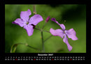 Blumenkalender Fotokalender 2027 - 12