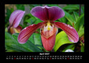 Blumenkalender Fotokalender 2027 - 4
