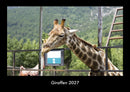 Giraffen Fotokalender 2027 - Hauptbild