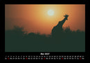 Giraffen Fotokalender 2027 - 5
