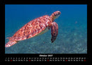 Karibik Fotokalender 2027 - 10